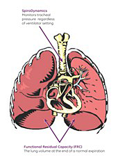 Engström Carestation